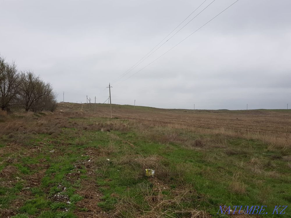 Сдам в аренду 5 гектар земли в дол трассы. Шымкент - изображение 2