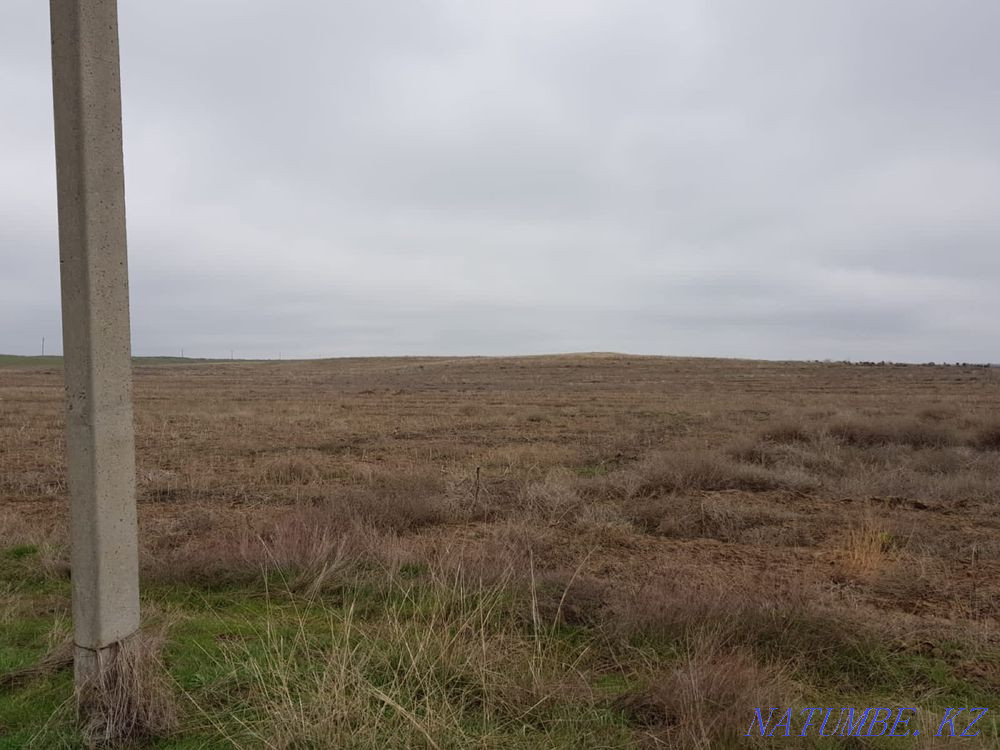 Сдам в аренду 5 гектар земли в дол трассы. Шымкент - изображение 6