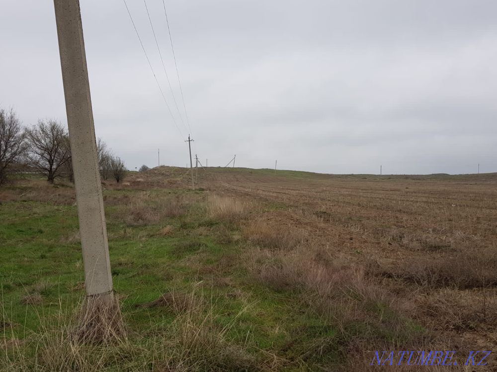 Сдам в аренду 5 гектар земли в дол трассы. Шымкент - изображение 4