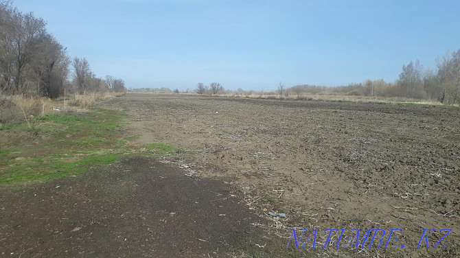 Land for rent for melon garden 40 hectares Aqtobe - photo 1