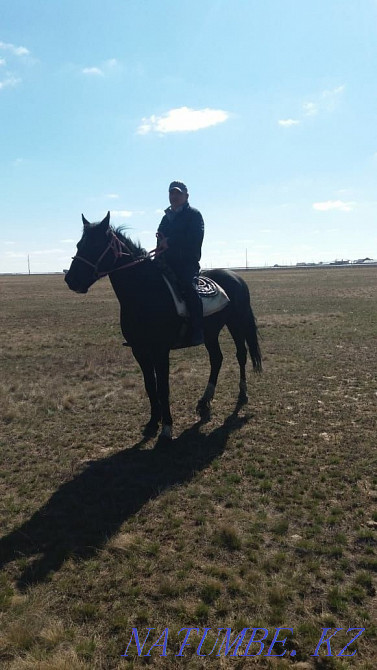 Garden for rent 1 ready for planting Astana - photo 1