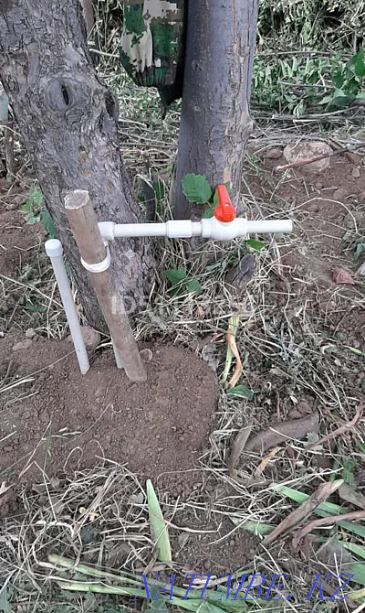 Plot in kaskelen Almaty - photo 5