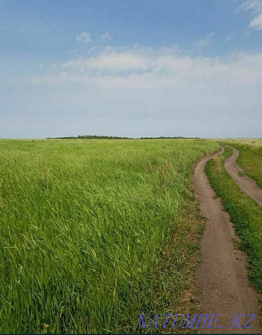 Yegin eguge arnal?an 10 ha  - photo 1