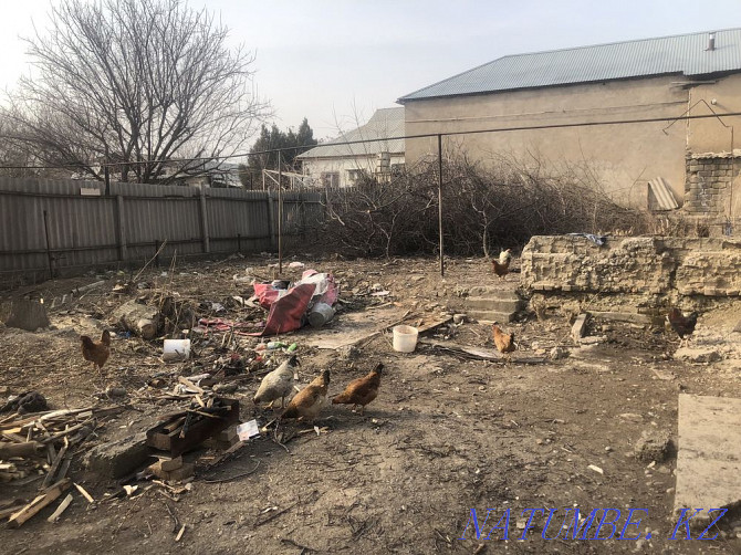 Land for rent center 1000 small things Shymkent - photo 3
