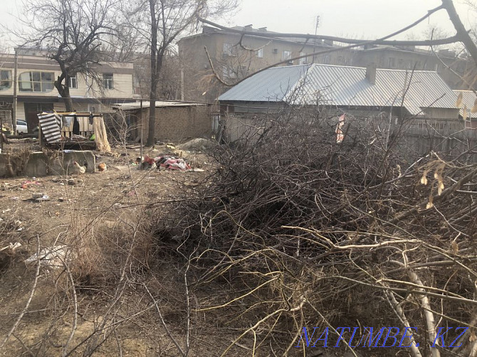 Land for rent center 1000 small things Shymkent - photo 5