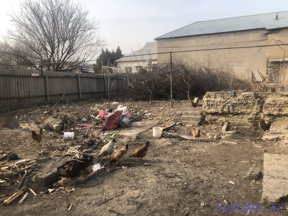 Участок сдам в аренду центр 1000 мелочей Шымкент - изображение 3