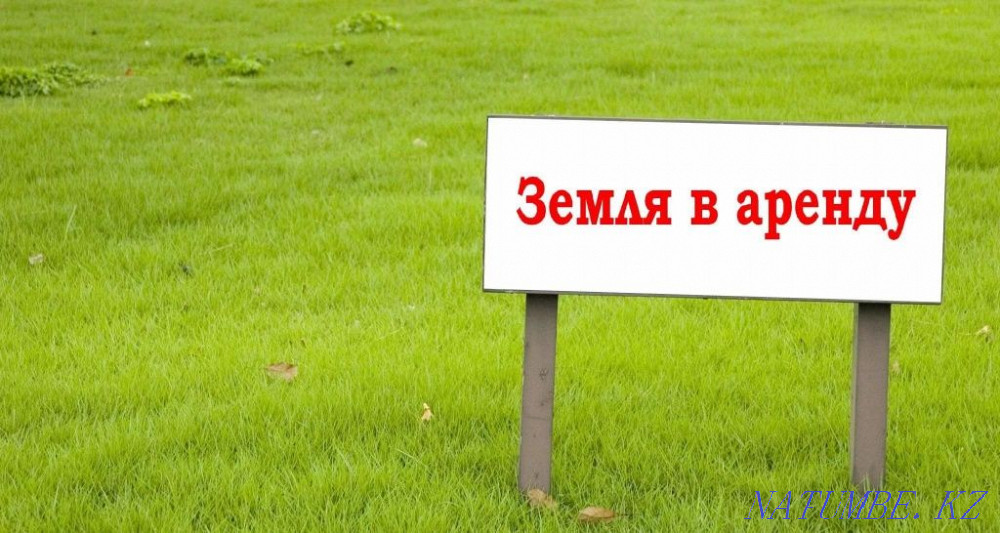 Rent land  - photo 1