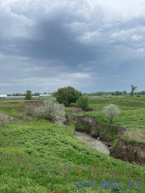 Земля участок К/Х 3га  - изображение 2