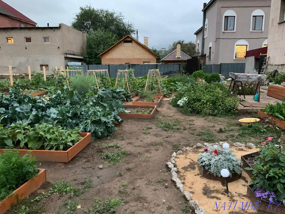 Plot of land in the center Astana - photo 3