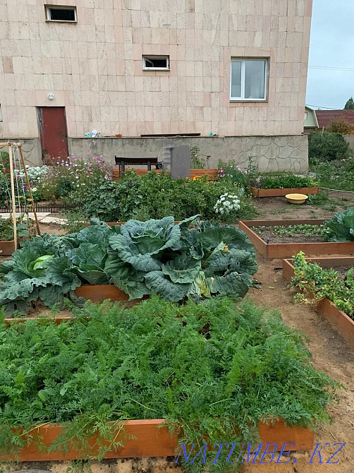 Plot of land in the center Astana - photo 5