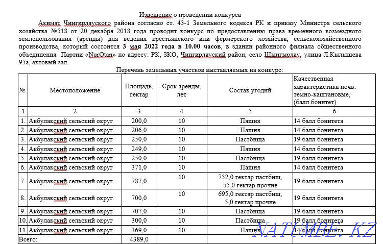 We prepare applications and develop business plans with a financial model.  - photo 4