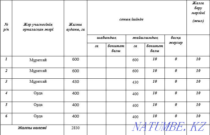 We prepare applications and develop business plans with a financial model.  - photo 8