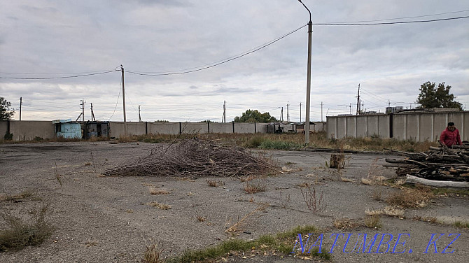 Renting a territory for business Semey - photo 3