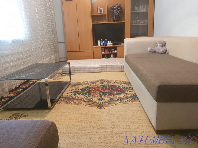 Cottage rent by the day Shymkent - photo 9