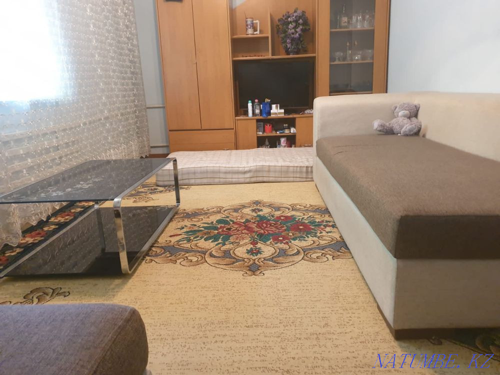 Cottage rent by the day Shymkent - photo 9