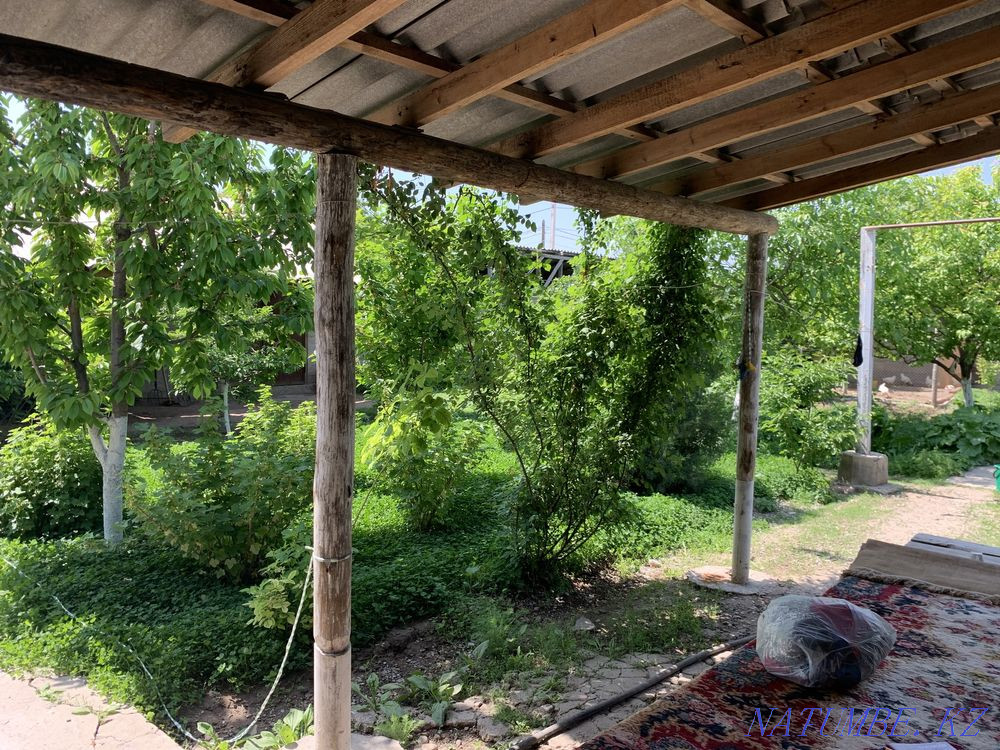 Cottage rent by the day Shymkent - photo 1