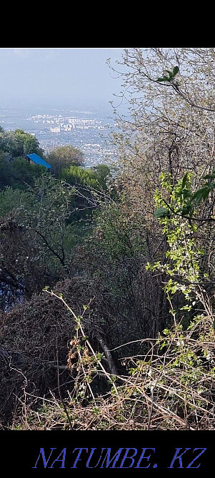 Rent a house Каргалы - photo 3