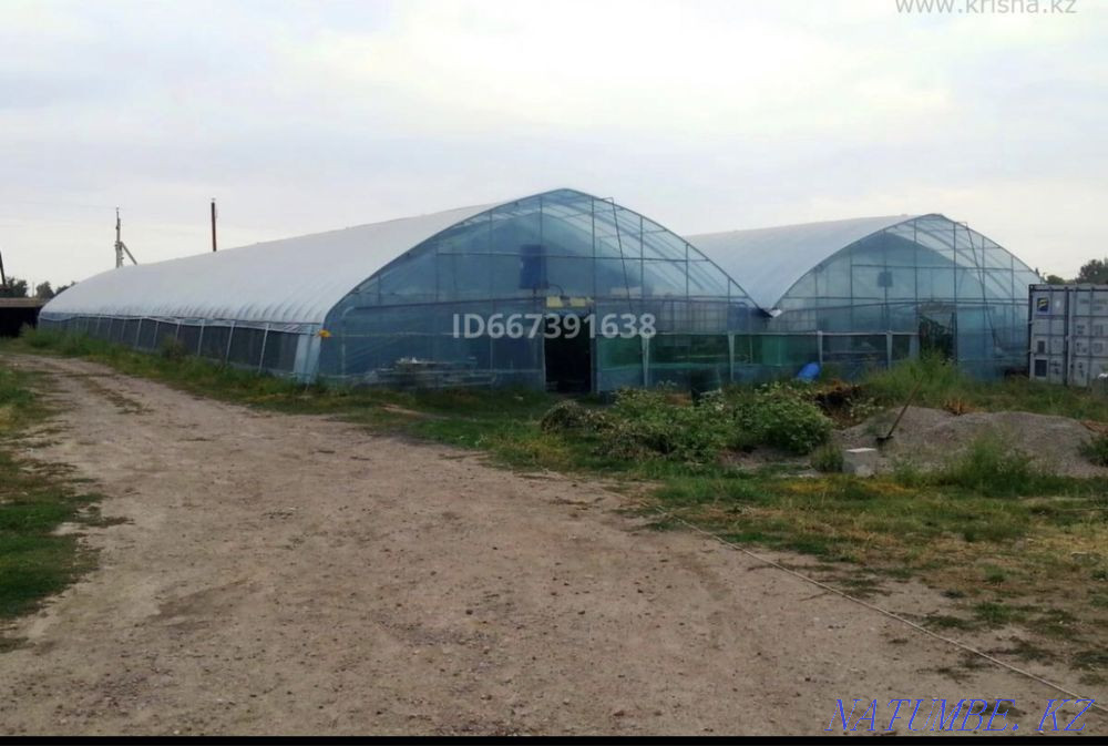 Renting a manufacturing facility Abay - photo 3