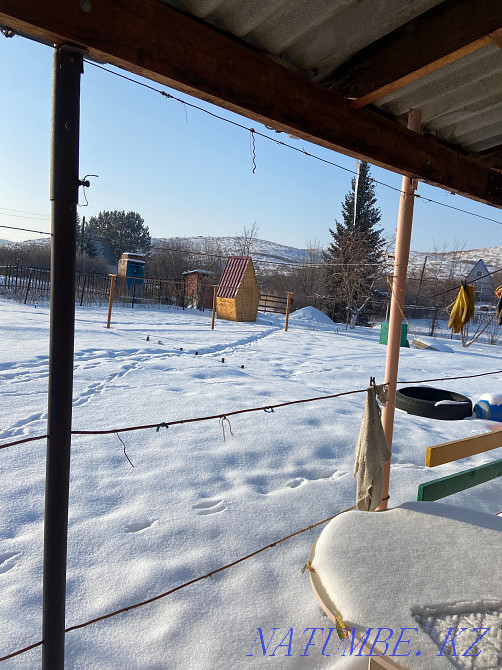 I will sell a cottage in the c / o 