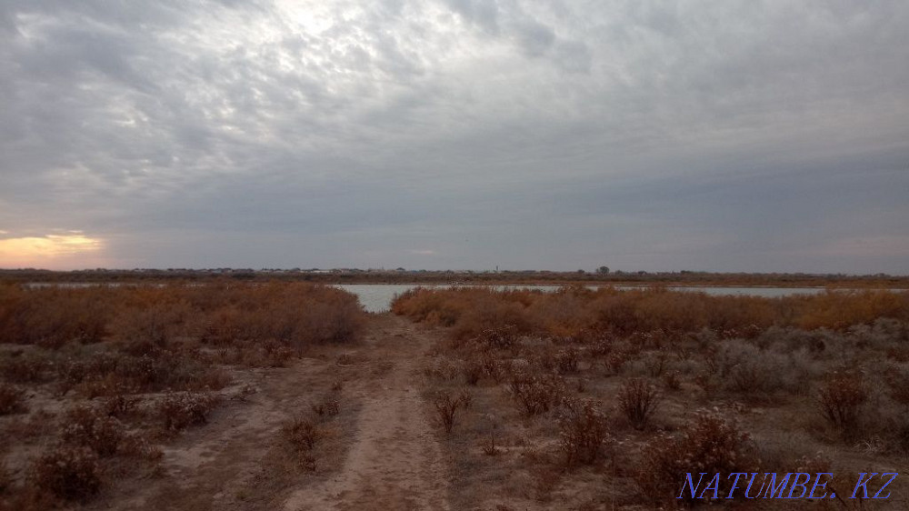 Дачный участок в Курилкино на берегу в аренду  - изображение 1
