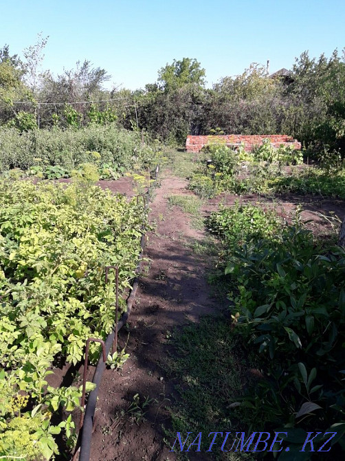 дача по 19 маршруту Рудный - изображение 2