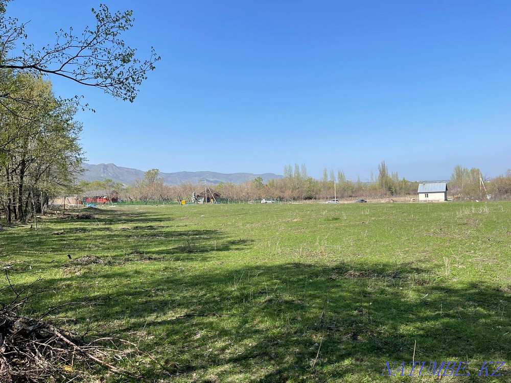 Farm plot  - photo 1