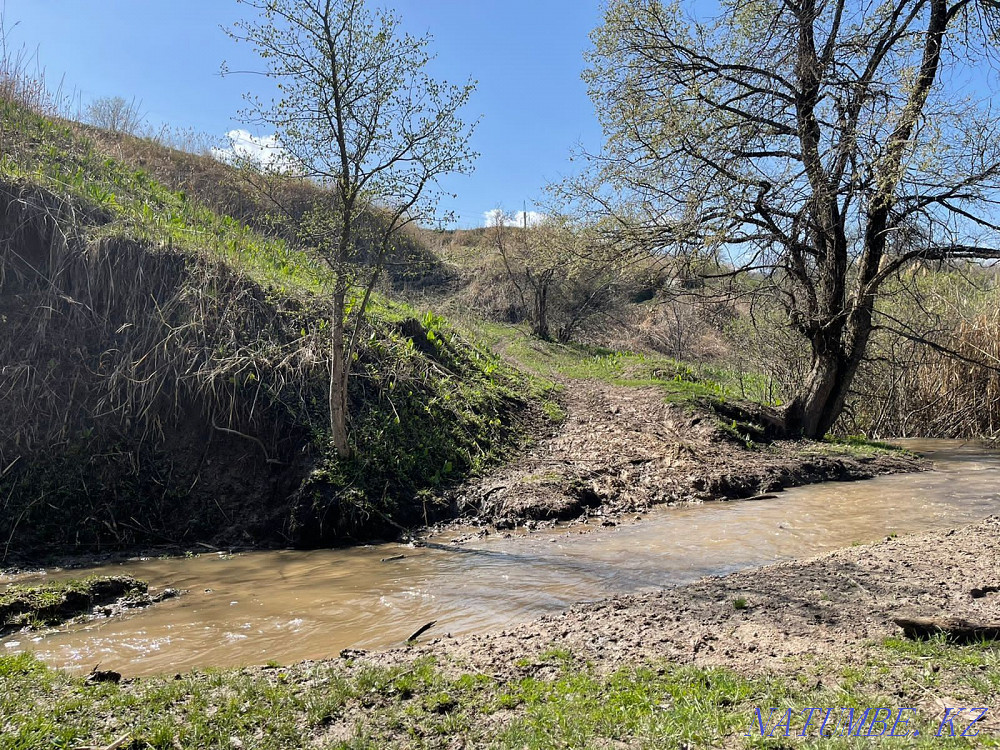 Farm plot  - photo 3