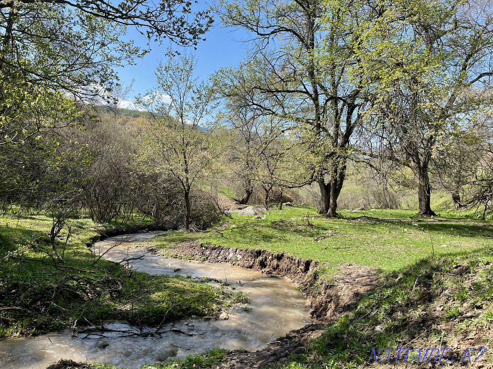 Farm plot  - photo 2