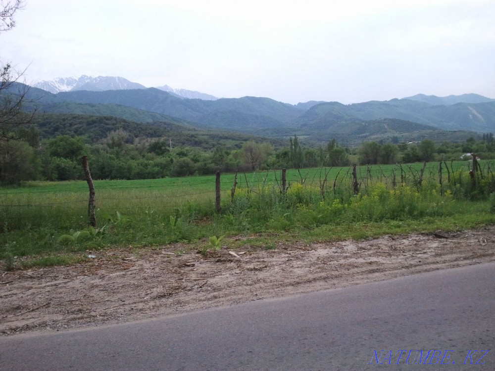 Farm plot  - photo 5