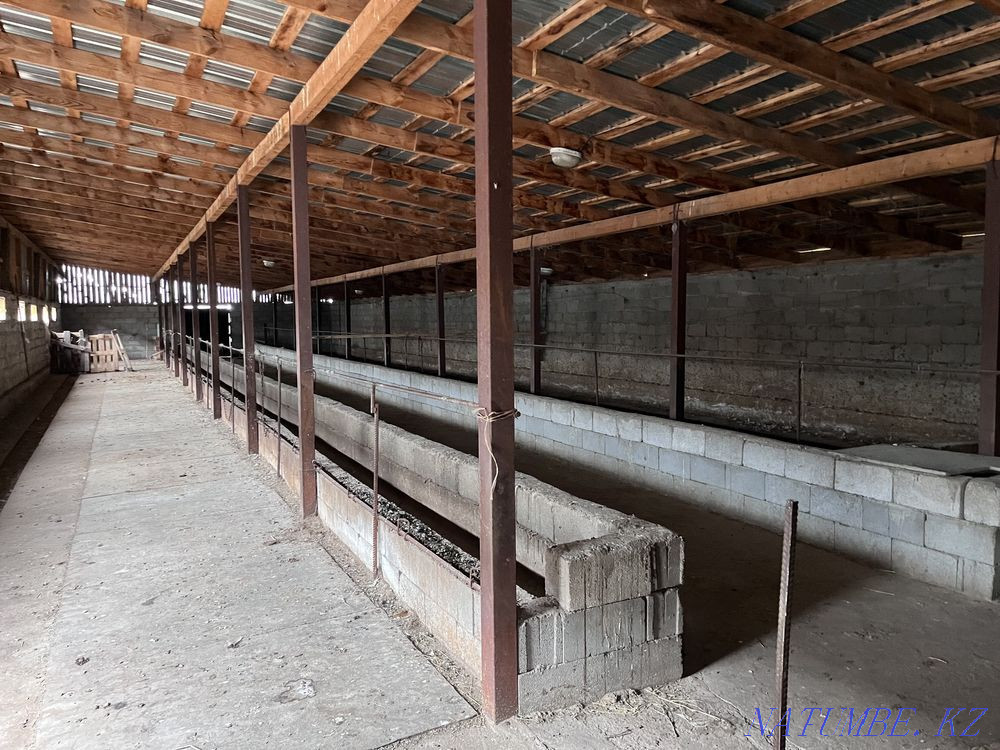 Гациенда сатыңыз немесе жалға беріңіз  - изображение 7