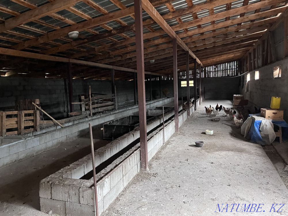 Гациенда сатыңыз немесе жалға беріңіз  - изображение 6