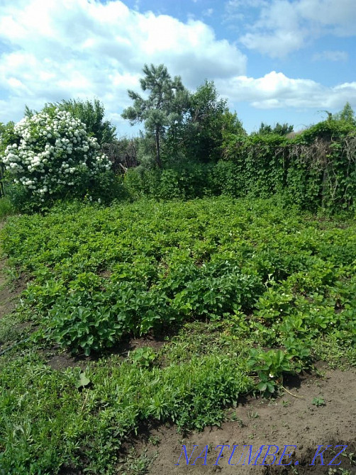 Rent a cottage  - photo 3