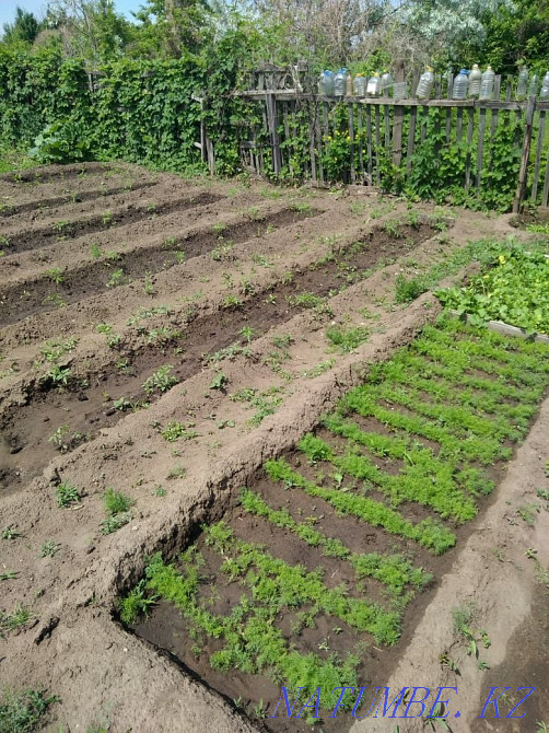 Rent a cottage  - photo 2