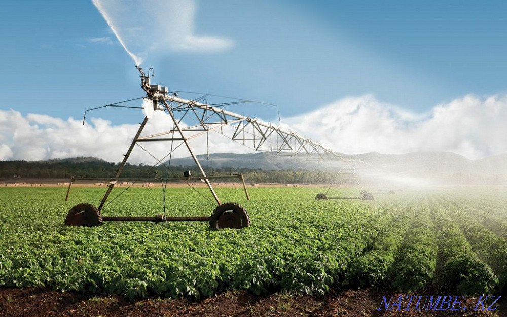 Орошаемая земля в аренду Караганда - изображение 2