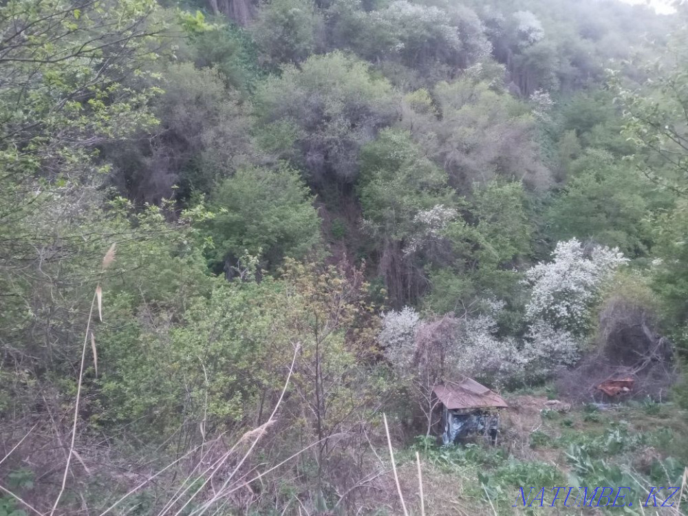 I will rent an empty plot of 6 acres, you can rest and plant a picnic Almaty - photo 16