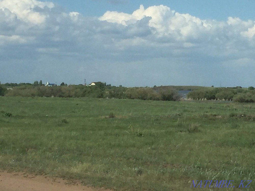 I propose to jointly develop a site for a recreation area Astana - photo 3