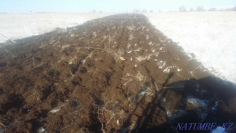 Сдам поливную землю под бахчу Актобе - изображение 1