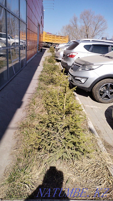 We will rent a site for special equipment, cafes, cars, etc. Astana - photo 6