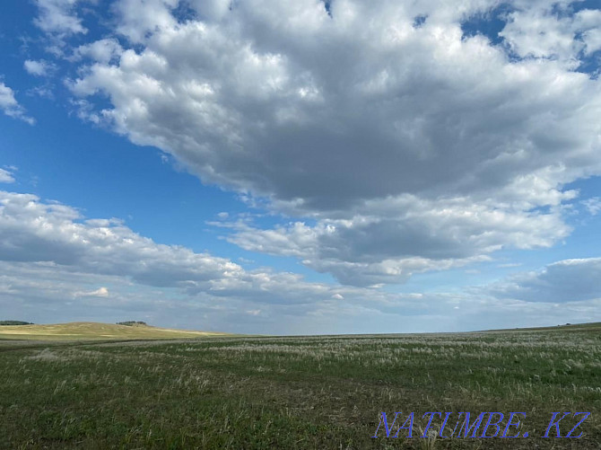 I will lease a field under arable land, 40 hectares.  - photo 6