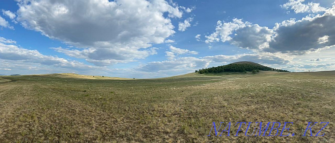 I will lease a field under arable land, 40 hectares.  - photo 1