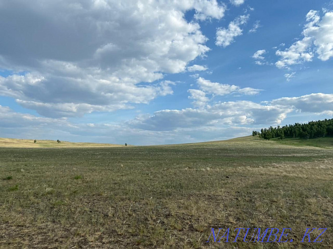 I will lease a field under arable land, 40 hectares.  - photo 2