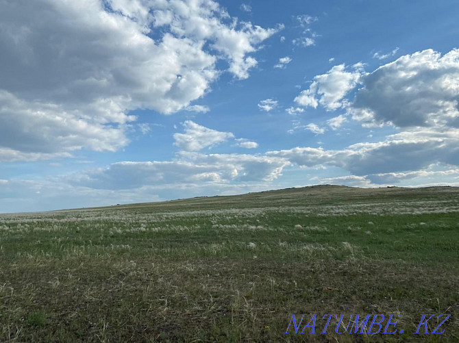 I will lease a field under arable land, 40 hectares.  - photo 5