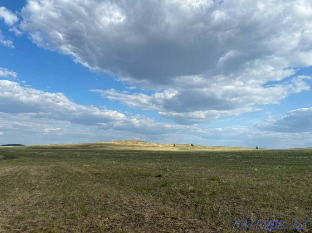 Отдам в аренду поле под пашней , 40 гектар.  - изображение 4