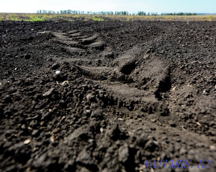 Land plot Karagandy - photo 1