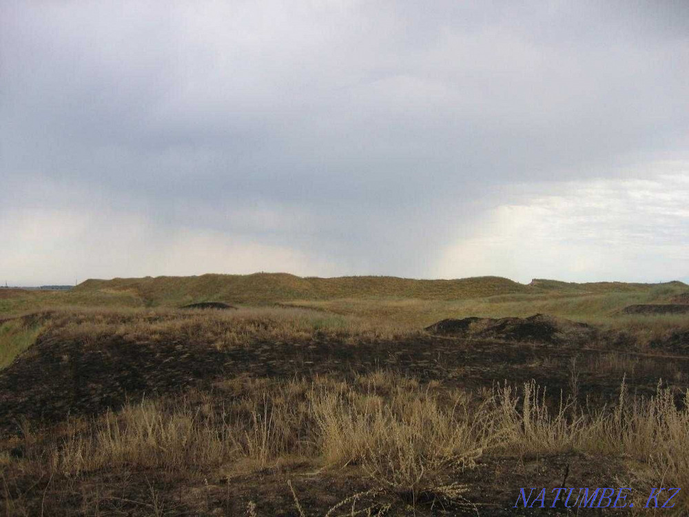 Rent out plots  - photo 1