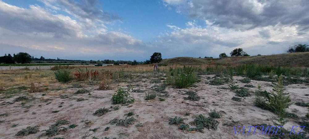 Plot 8 hectares.  - photo 2