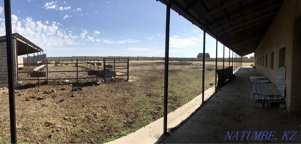 ?ORA, Dacha 100 cells? Zherimin zhal? and beriledi Shymkent - photo 3