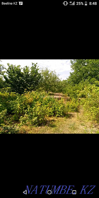 Rent a cottage in alga  - photo 1