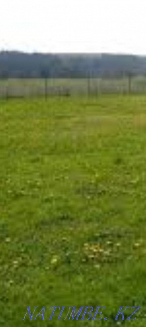 Сдам земельный участок у реки Актобе - изображение 2