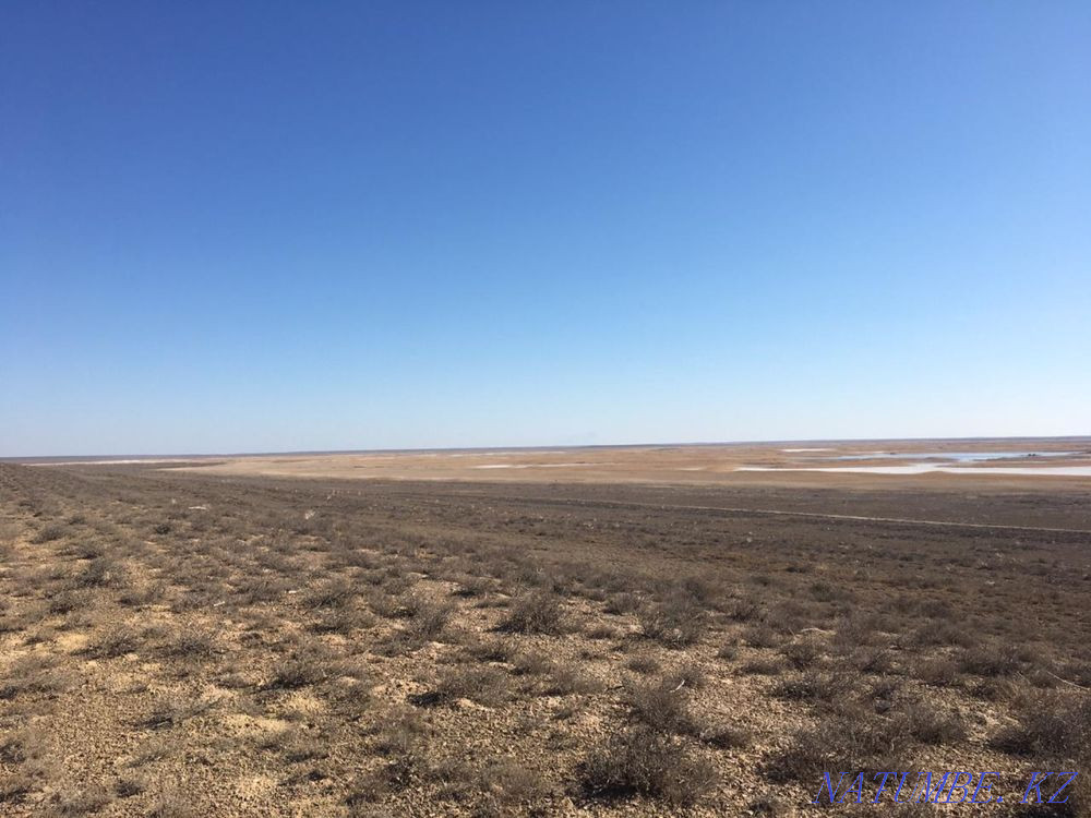 Сдам в аренду землю  - изображение 2